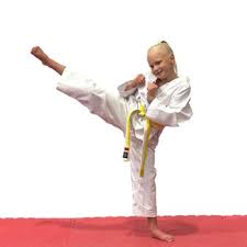 Image result for Kees Tae Kwon Do