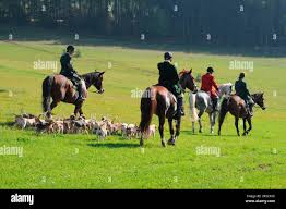 Image result for Abinger Forest Riding Club