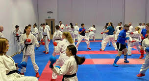 Image result for Meadowbank Edinburgh Jitsu Club
