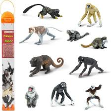 Attēlu rezultāti vaicājumam “Primates”