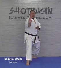 Image result for ZOKU SHOTOKAN KARATE (Baldock)
