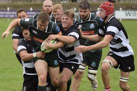 Image result for Stirling Wolves