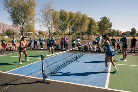 Image result for Pickley Green Panthers Junior Badminton Club