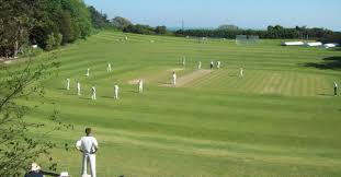 Image result for Redlynch and Hale Cricket Club