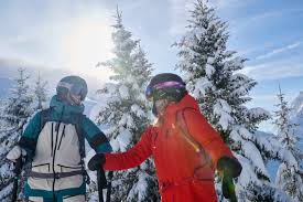 Image result for British Ski Club For The Disabled