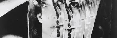 Image result for Schneemann