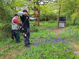 Image result for Panther Bowhunters Field Archery Club