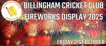 Image result for Billingham Synthonia Cricket Club