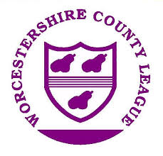 Image result for Worcester Dominies & Guild Cc