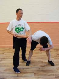 Image result for Kicking Dragon Kung Fu School, Belfast