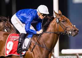 Image result for Almond Riding Club