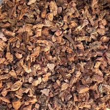 Attēlu rezultāti vaicājumam “Hydrangea arborescens subsp. discolor”