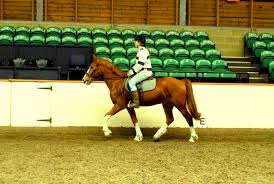 Image result for The Riding Centre