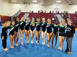 Image result for Harnham Gymnastics Club