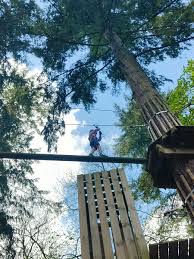 Image result for Go Ape! Thetford