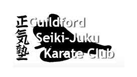 Image result for Seiki Juku Karate Club