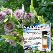 Attēlu rezultāti vaicājumam “Arctium”