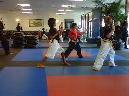 Image result for America's Best Karate Chandler