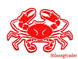 Image result for Metacarcinus magister