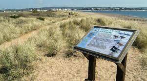 Image result for Dawlish Sc