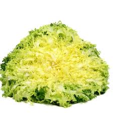 Image result for Endivie