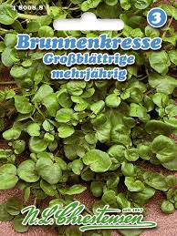 Image result for Brunnenkresse