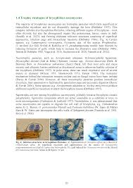 Attēlu rezultāti vaicājumam “Octospora splachnophila spores”