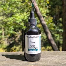 Attēlu rezultāti vaicājumam “Exobasidium uvae-ursi”