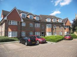 Image result for Thames Ditton Schools Fc