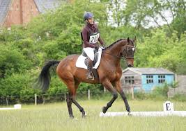 Image result for Stoneleigh Riding Club