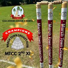 Image result for March Town Cricket Club