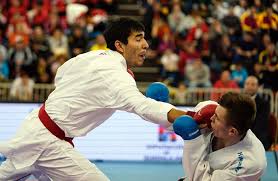 Image result for kyokujitsu Kai