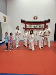 Image result for Taunton Karate Jutsu