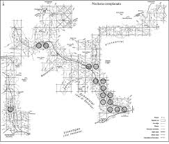 Attēlu rezultāti vaicājumam “Neckera complanata”