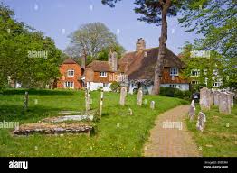 Image result for Hellingly Cricket Club