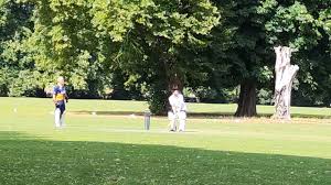 Image result for Bay Dragons CC