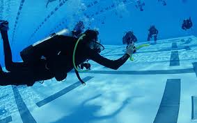 Image result for 3D Diving Club
