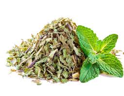 Image result for Pfefferminze