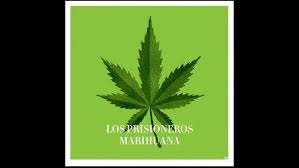 Resultado de imagen para la marihuana channel