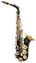Amadeus Music Center music lessons, brass, woodwind , string ... 