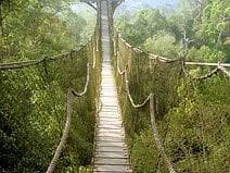 Image result for PONT DE SINGE
