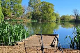 Image result for Byfleet Angling Association
