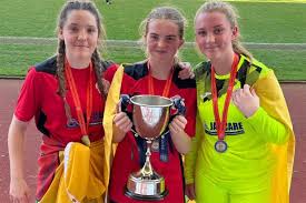 Image result for Haslingden High Badminton Club