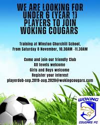 Image result for Woking Boys & Woking Fc (Part Of Woking Boys & Girls Fc)