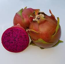 Attēlu rezultāti vaicājumam “Dracocephalum ruyschiana fruit”