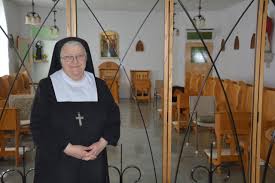 Image result for visitandines