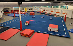 Image result for Alpha Trampoline Club
