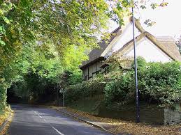 Image result for Rowditch Bowls Club