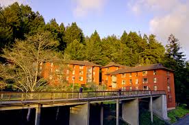 Image result for North Shields Polytechnic Club