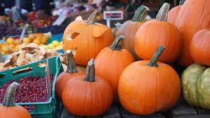 Image result for Kürbis